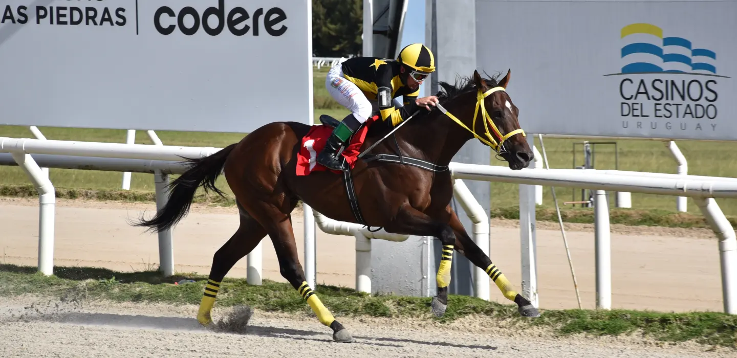 Dolarísimo domina en Las Piedras: el turf uruguayo brilla
