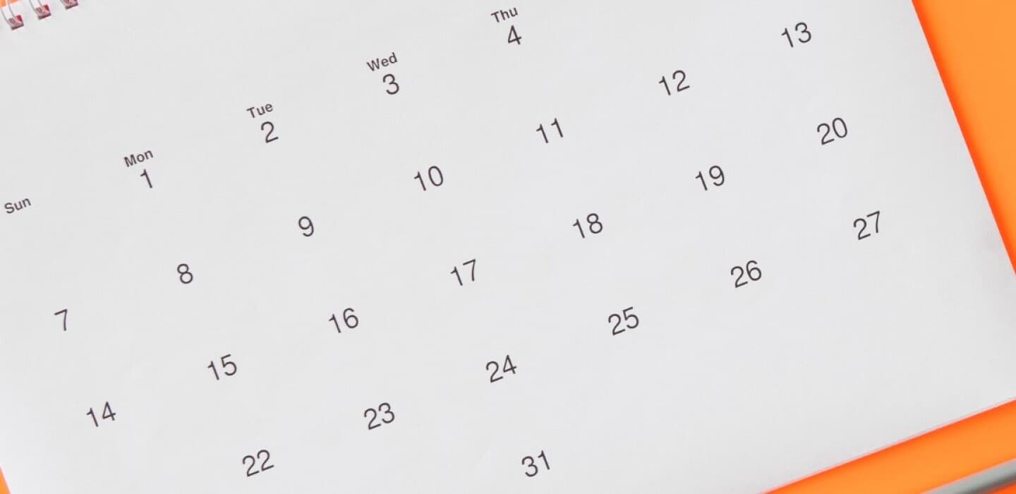 2 de febrero: Entre marmotas y grandes momentos históricos